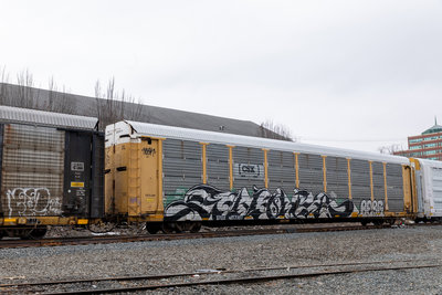 TTGX 157161