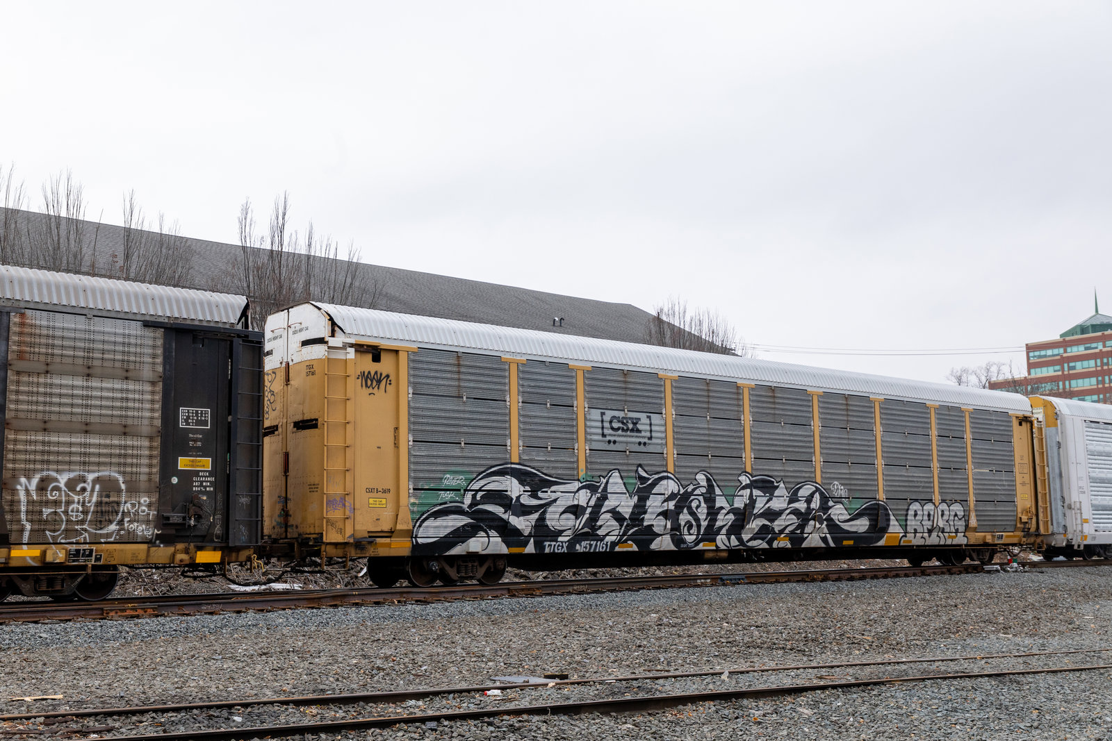 TTGX 157161