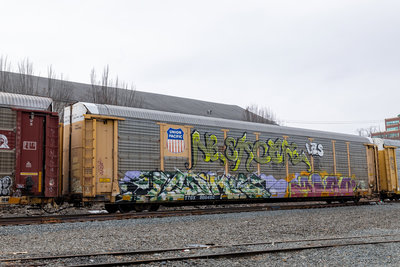 TTGX 986492