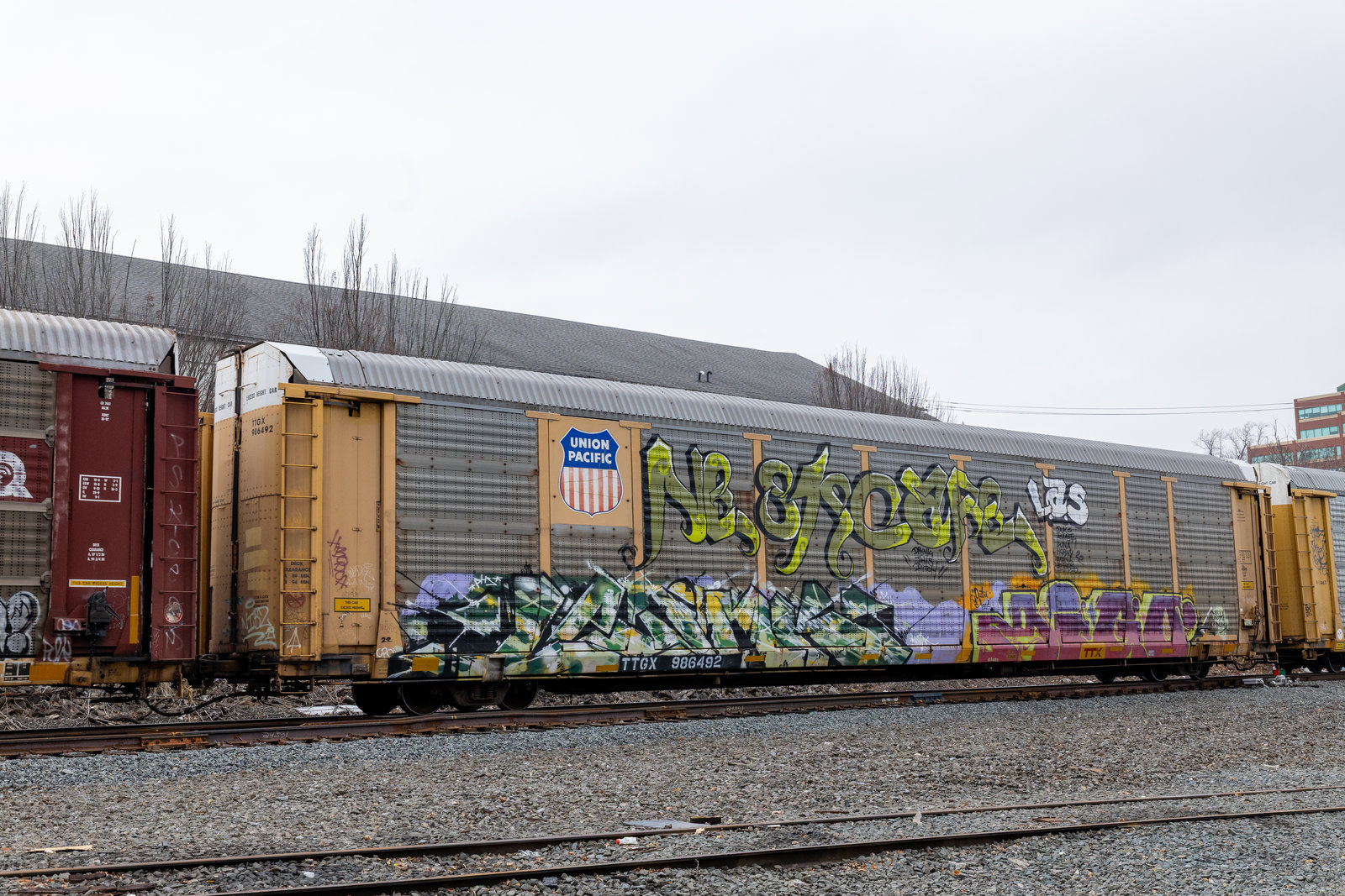 TTGX 986492