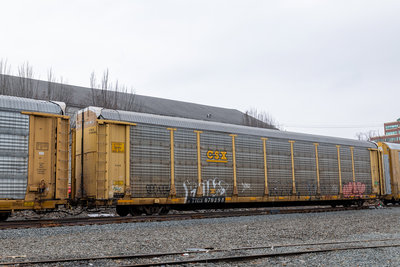 TTGX 979298