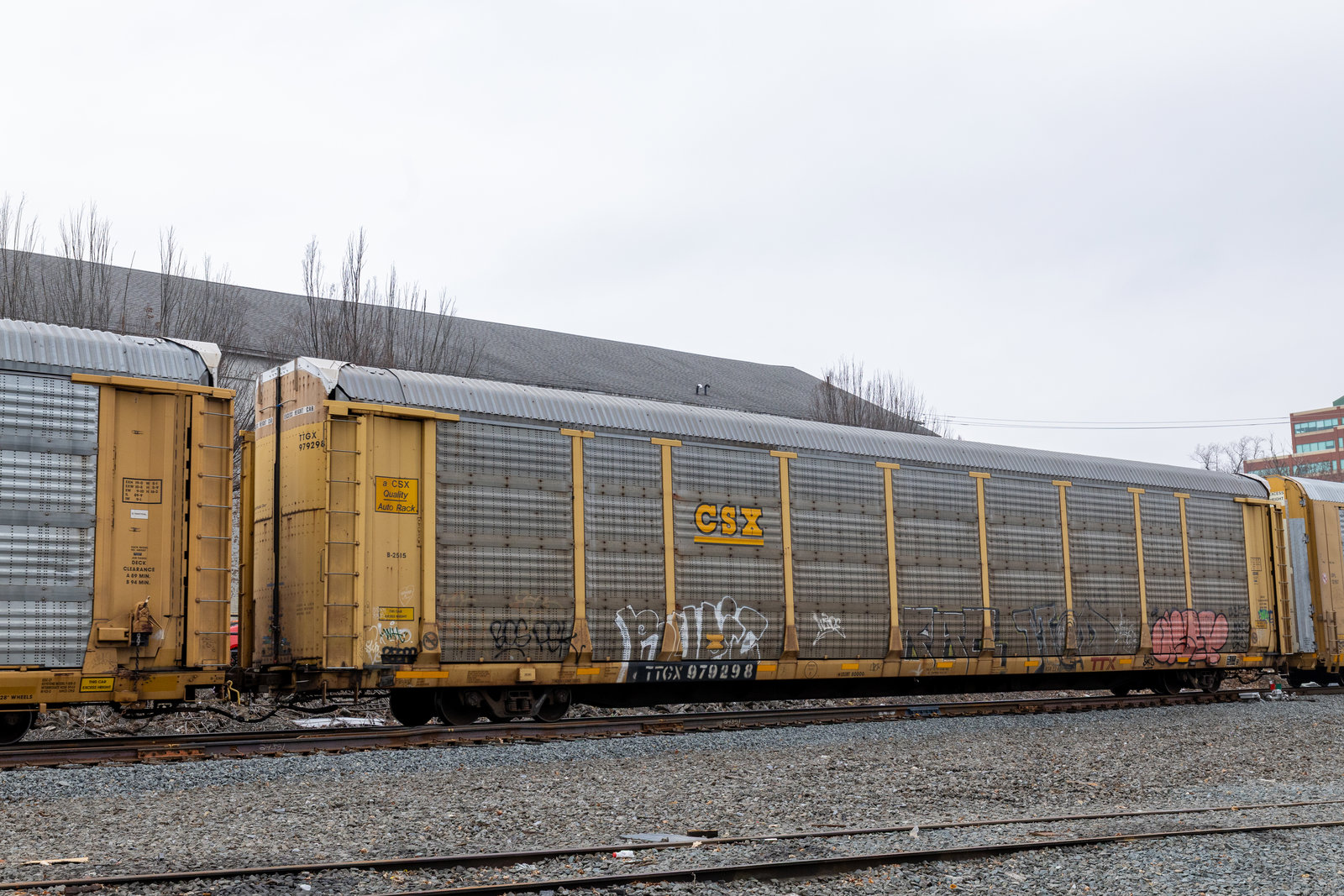 TTGX 979298