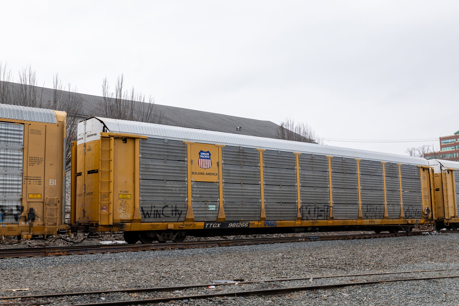 TTGX 981266