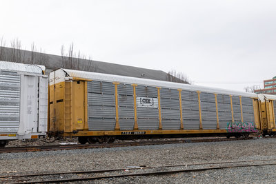 TTGX 965513