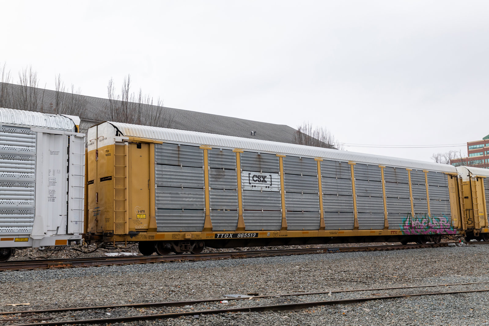 TTGX 965513