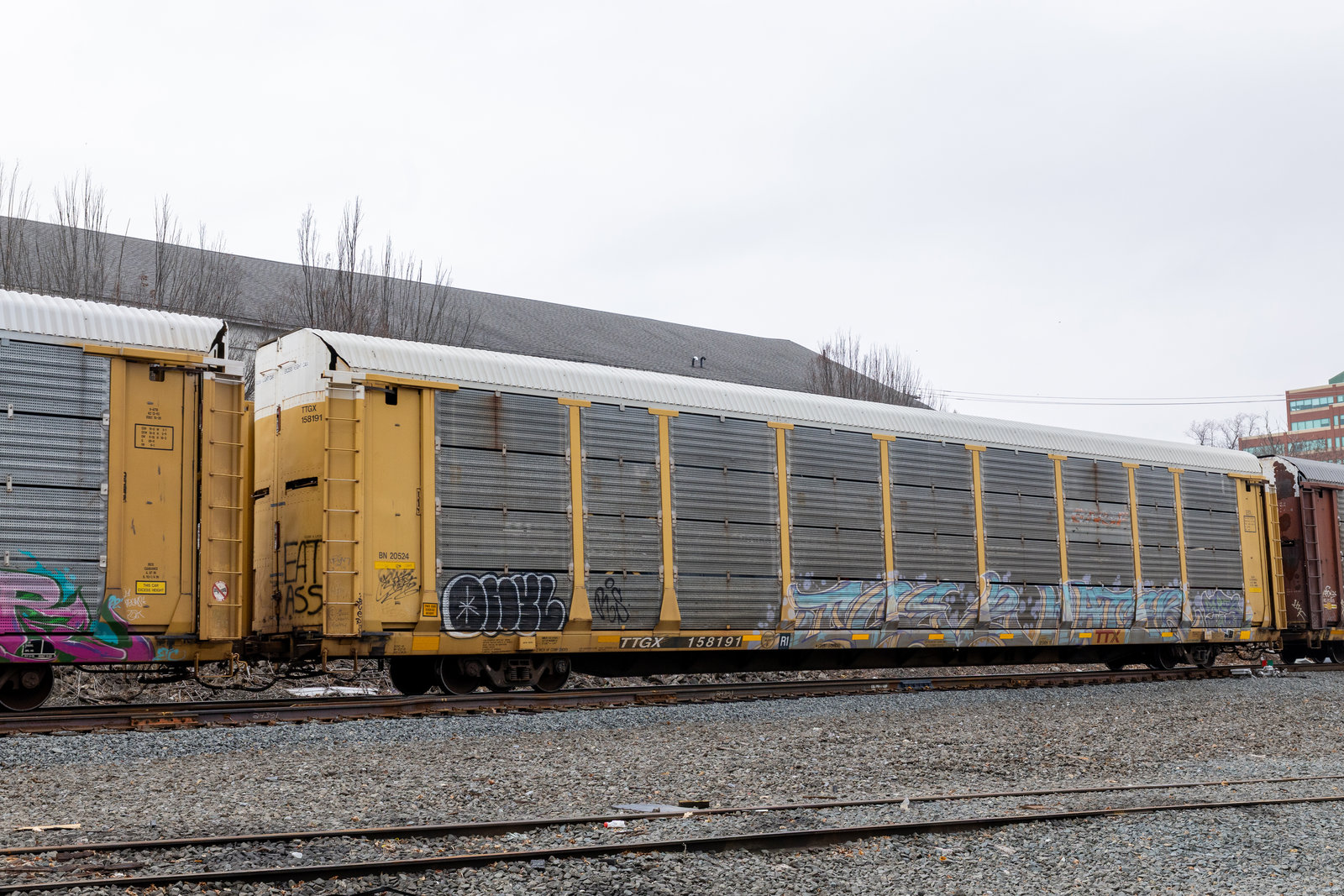 TTGX 158191