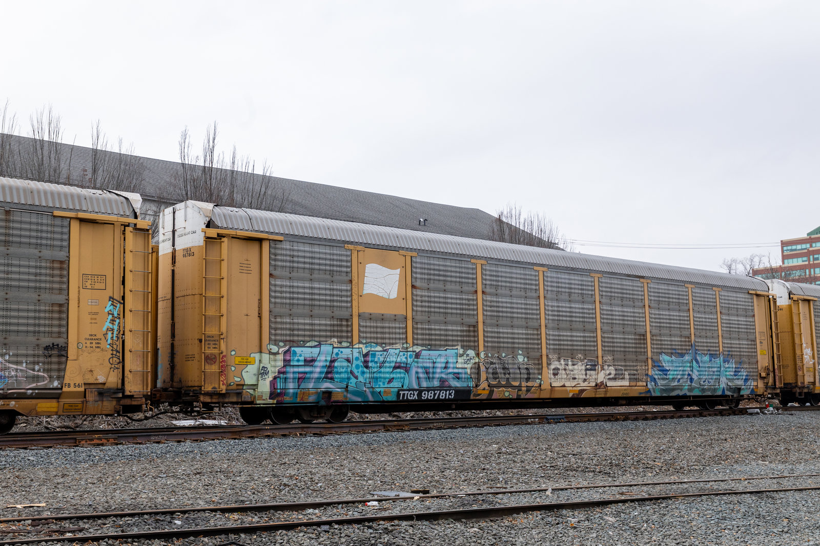TTGX 987813