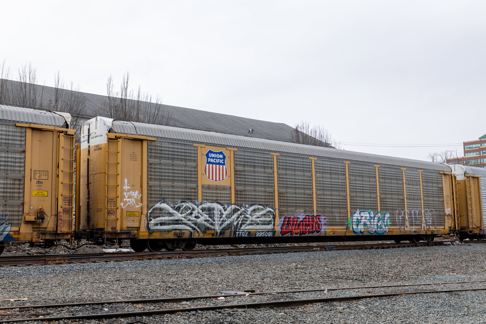 TTGX 995091