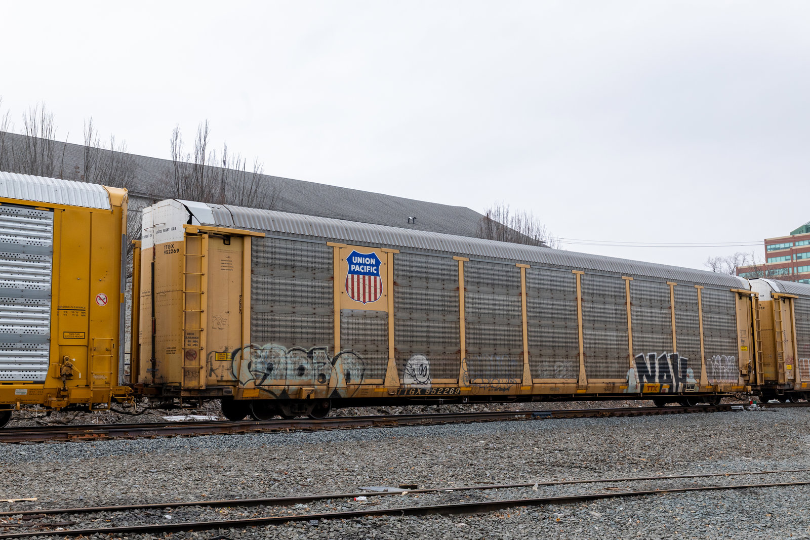 TTGX 952269