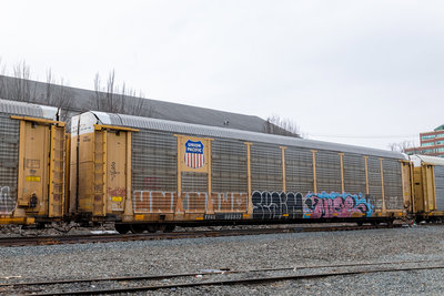 TTGX 985832