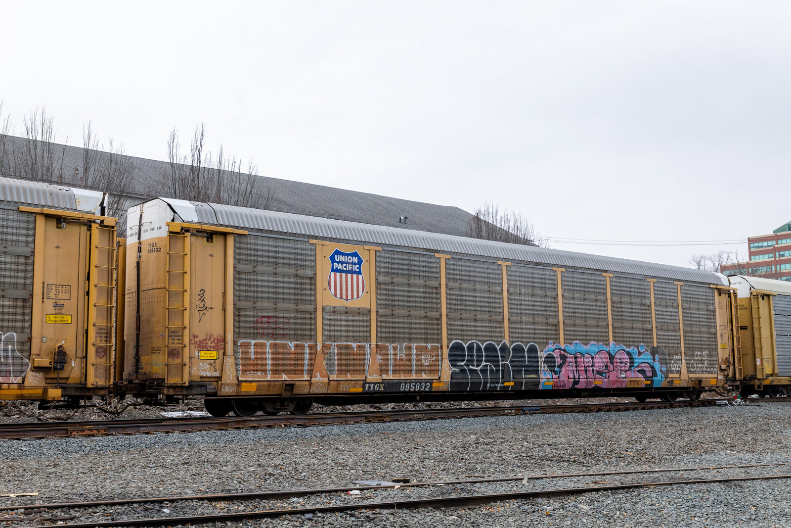 TTGX 985832
