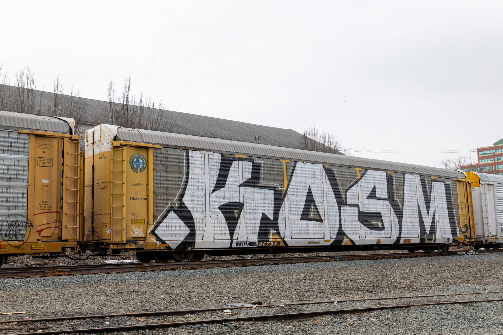 TTGX 986755