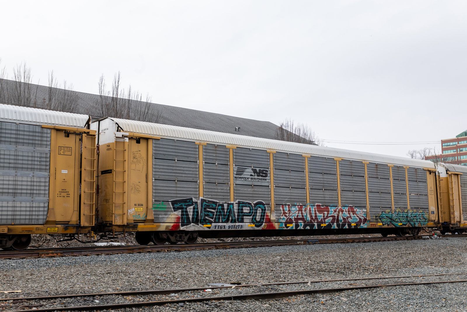 TTGX 975173