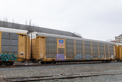 TTGX 988384