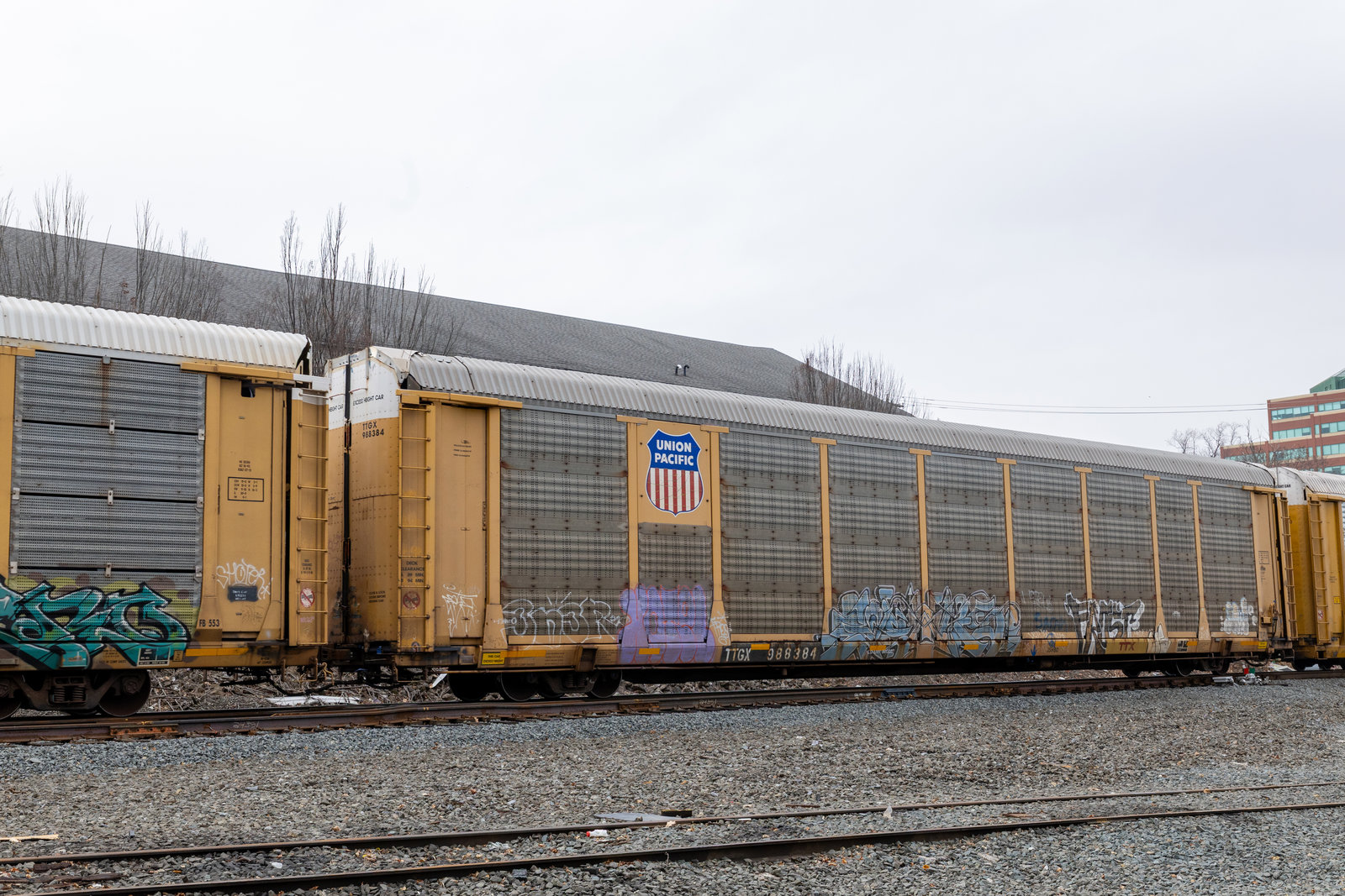 TTGX 988384
