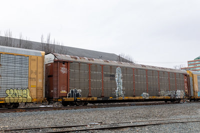 TTGX 253091