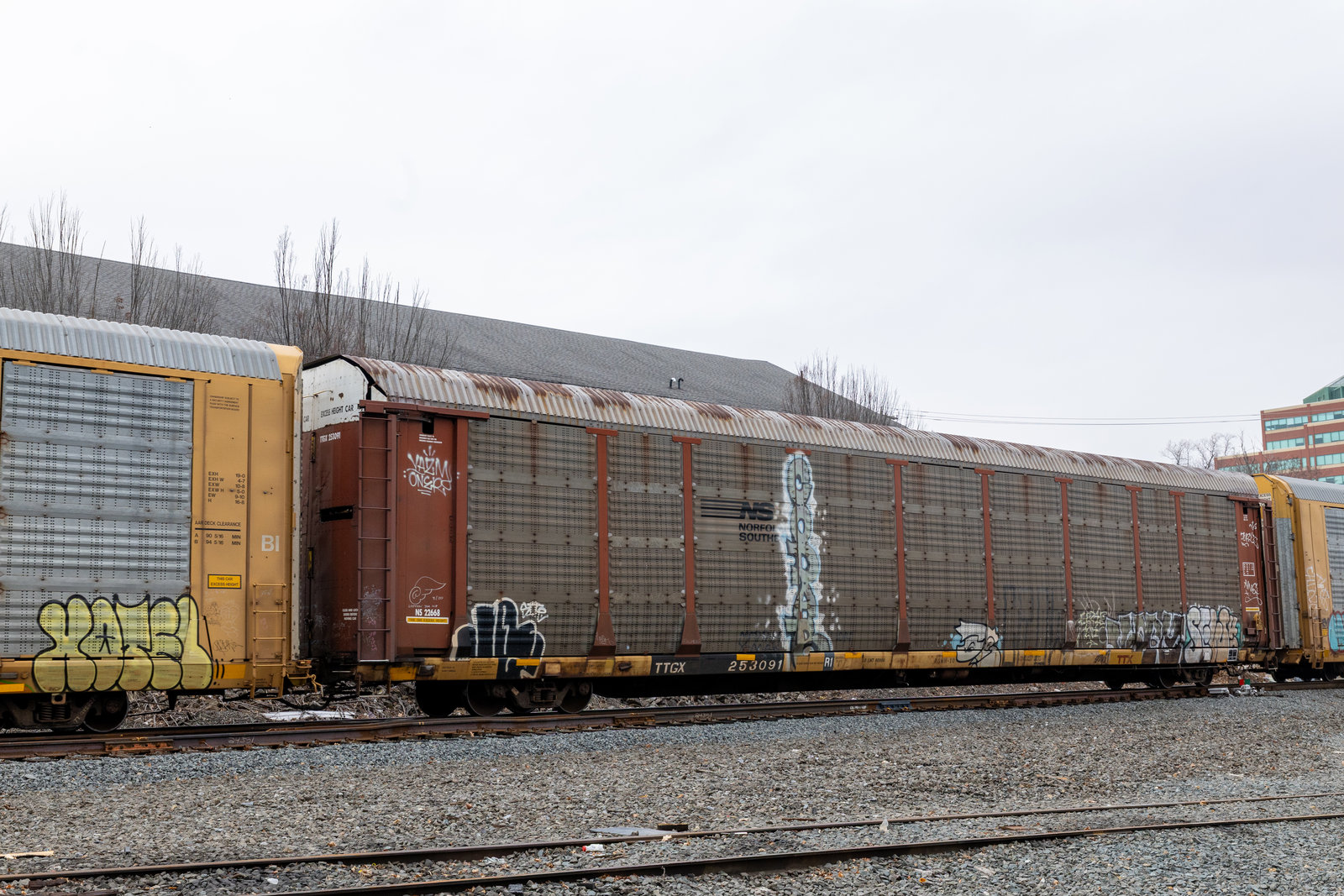 TTGX 253091