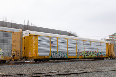 TTGX 975370