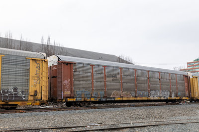 TTGX 981952