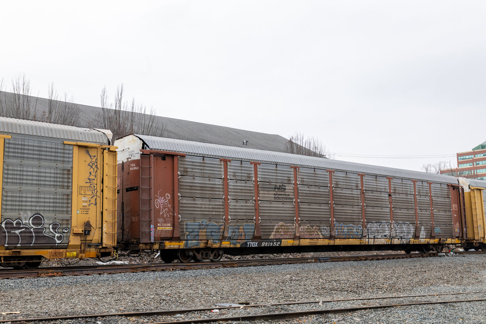 TTGX 981952
