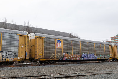 TTGX 971880