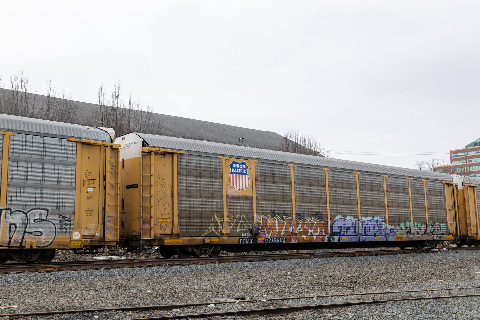 TTGX 971880