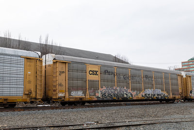 TTGX 987758