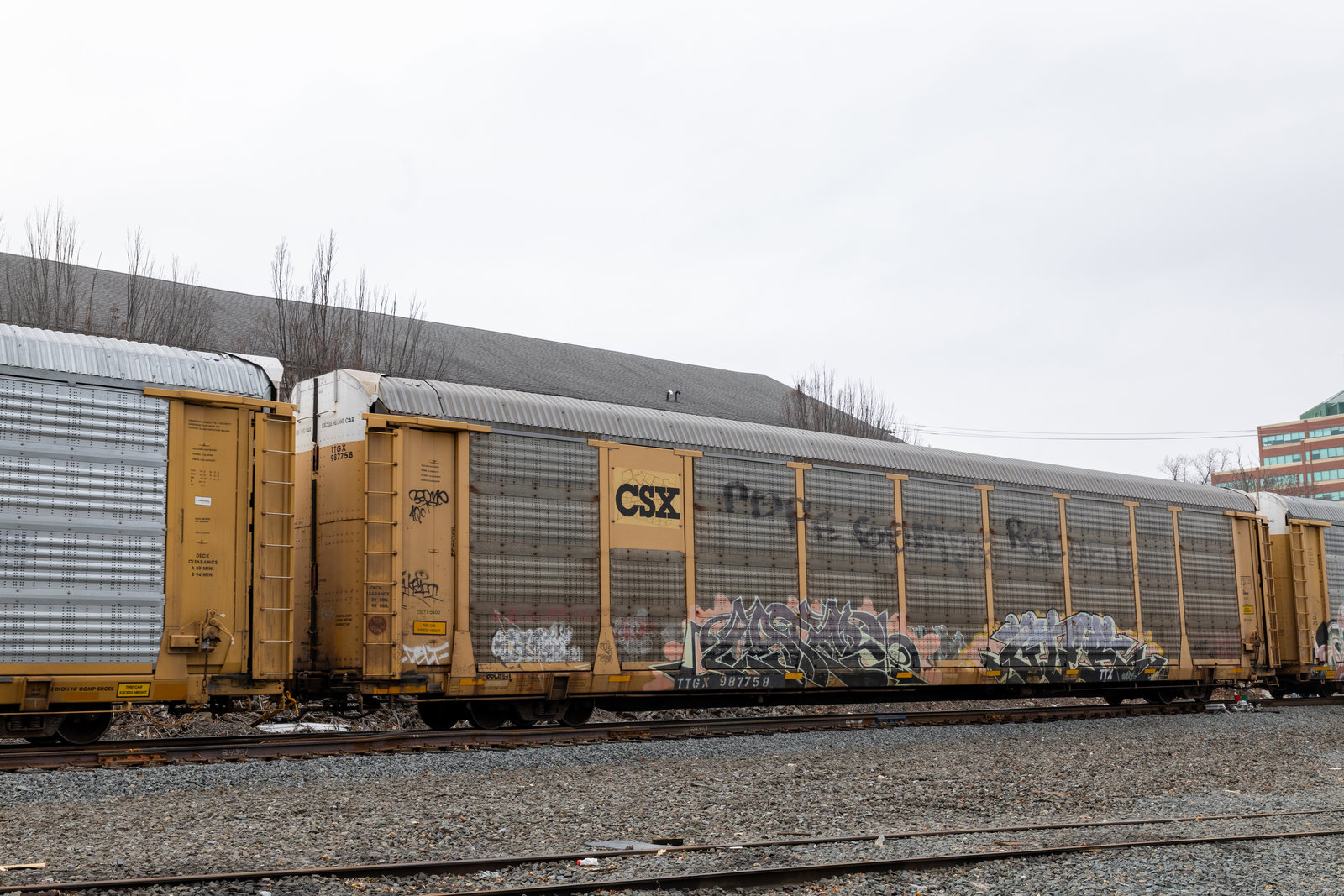 TTGX 987758