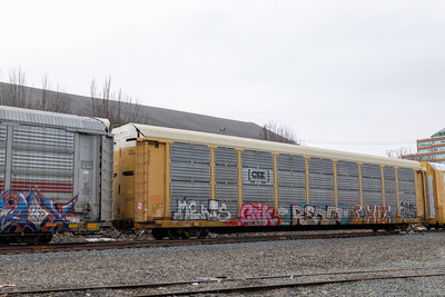 TTGX 963916