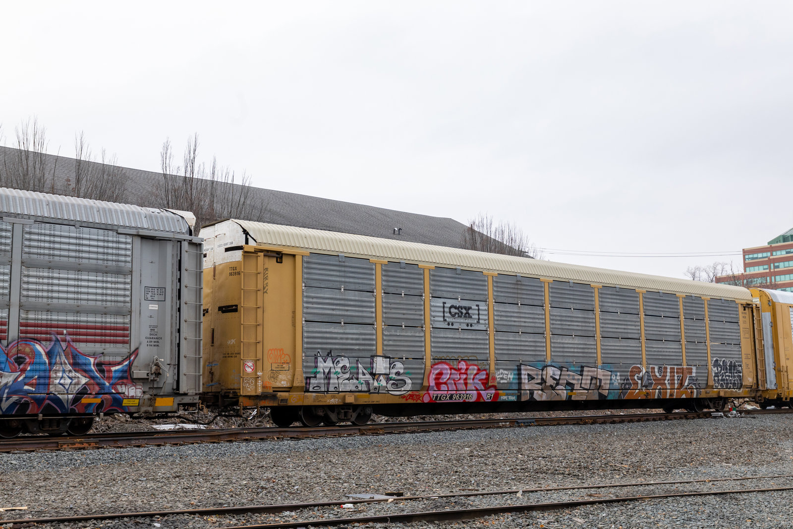 TTGX 963916