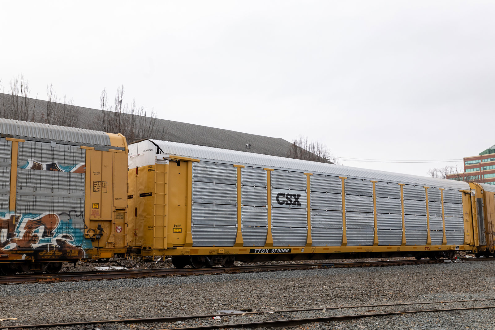 TTGX 979066