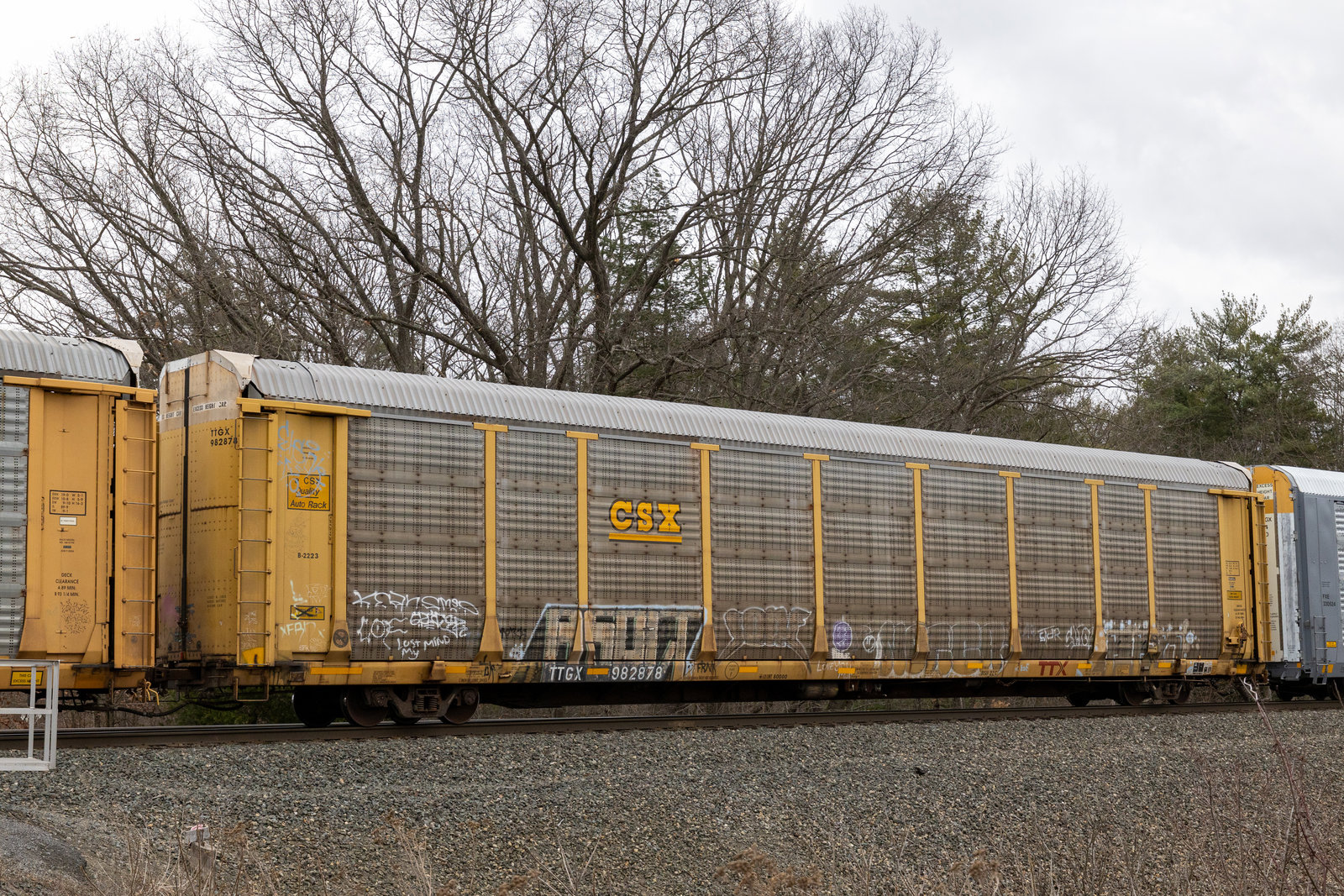 TTGX 982878