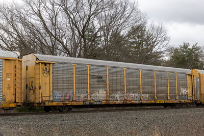 TTGX 991823
