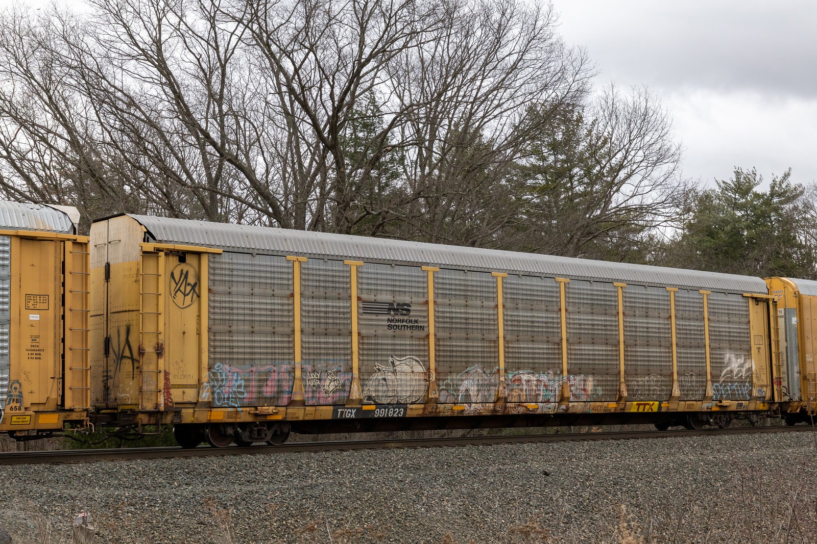TTGX 991823