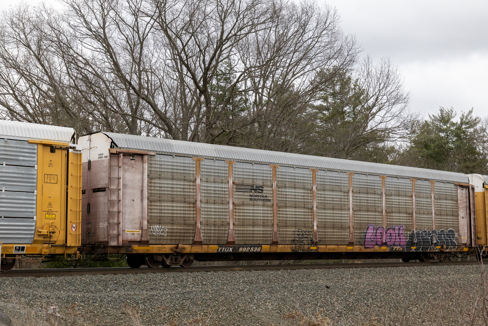 TTGX 992536