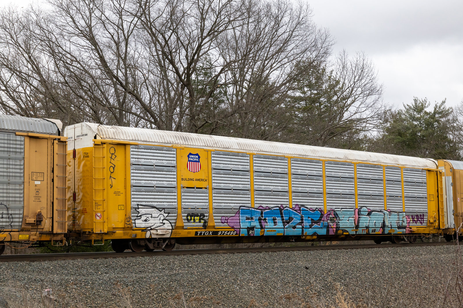 TTGX 975490