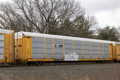 TTGX 971060