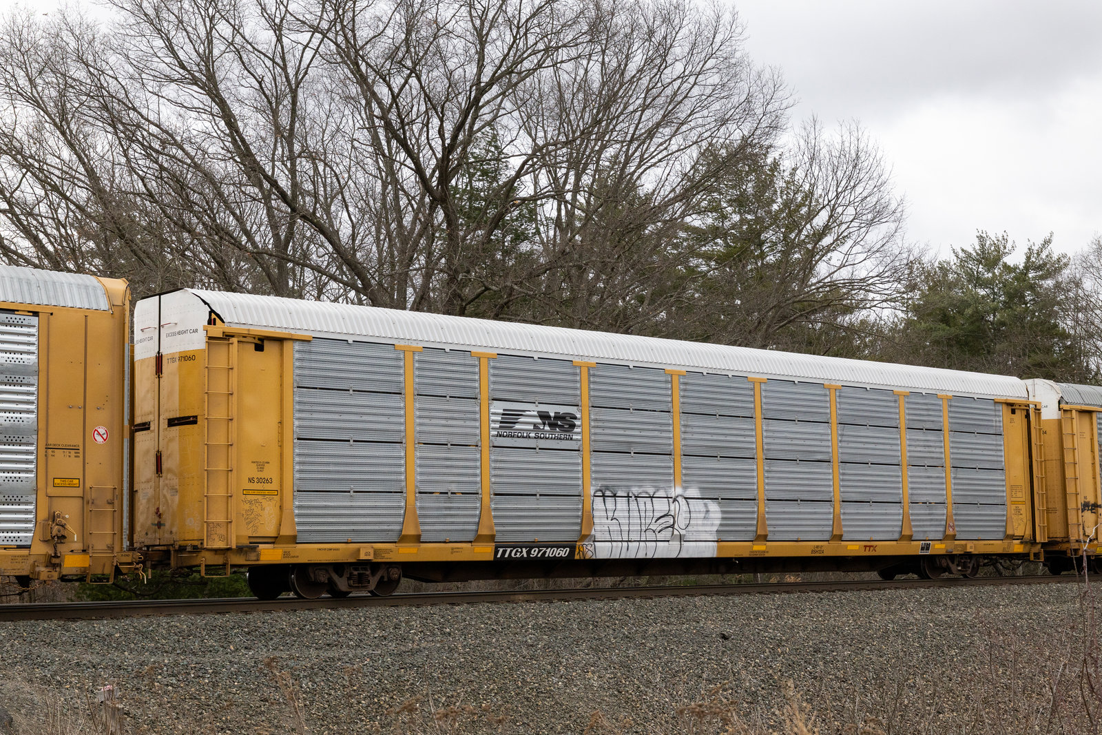 TTGX 971060