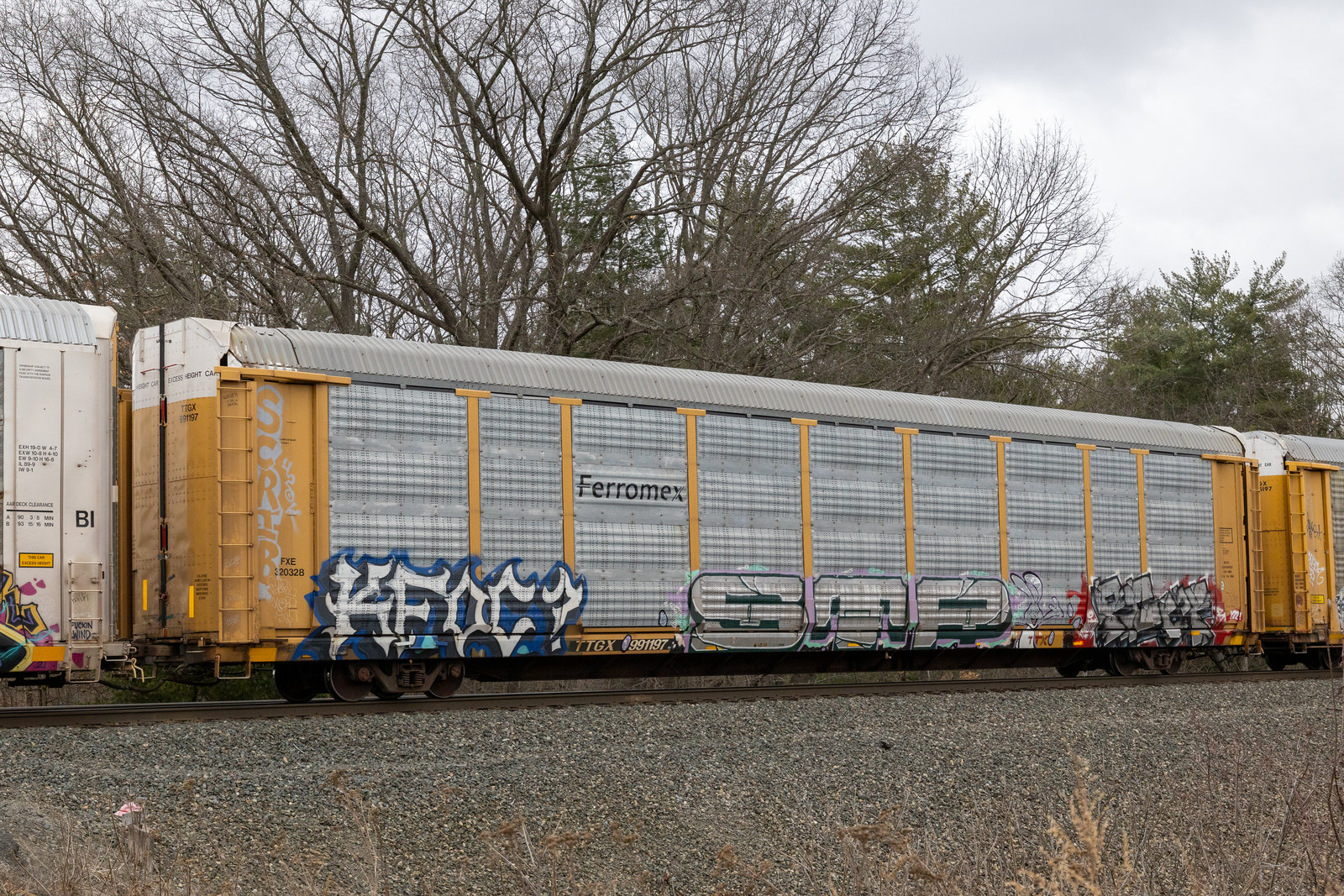 TTGX 991197