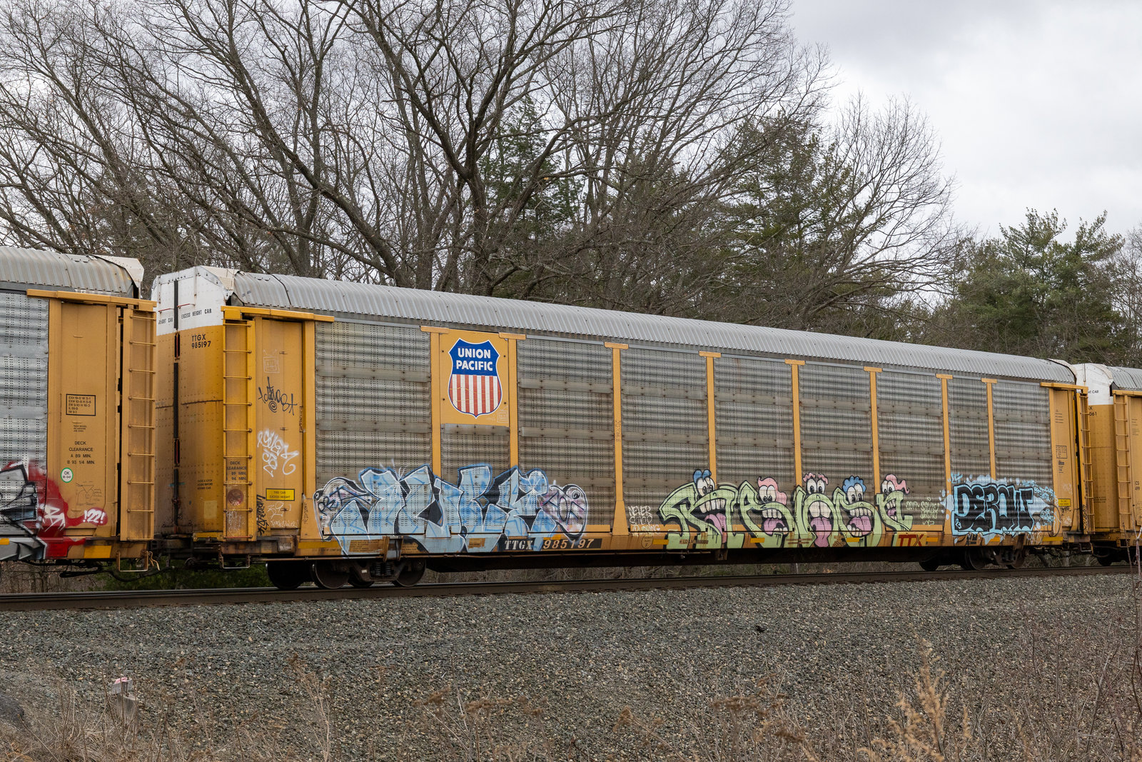 TTGX 985197