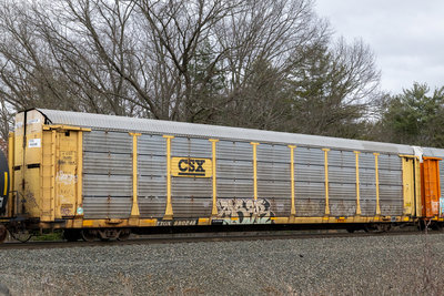 TTGX 990248