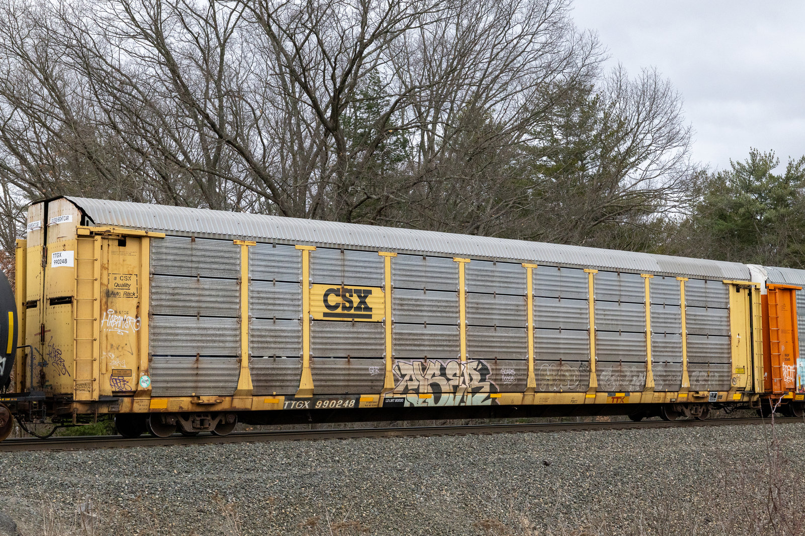 TTGX 990248