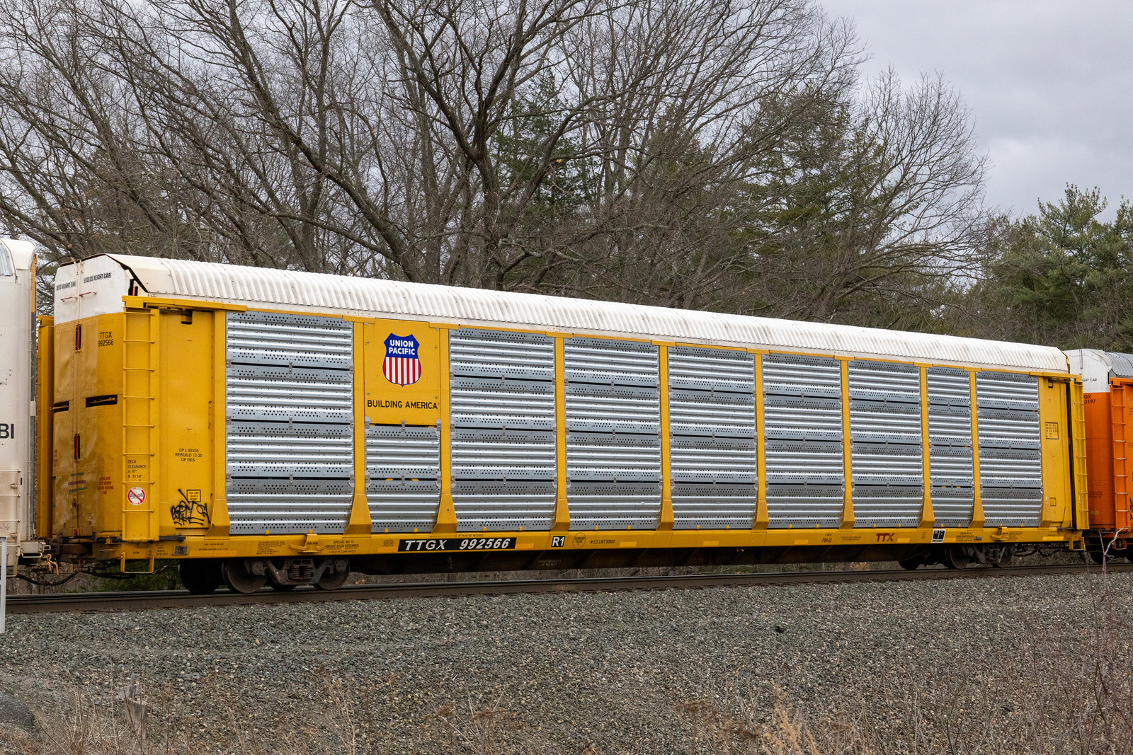 TTGX 992566
