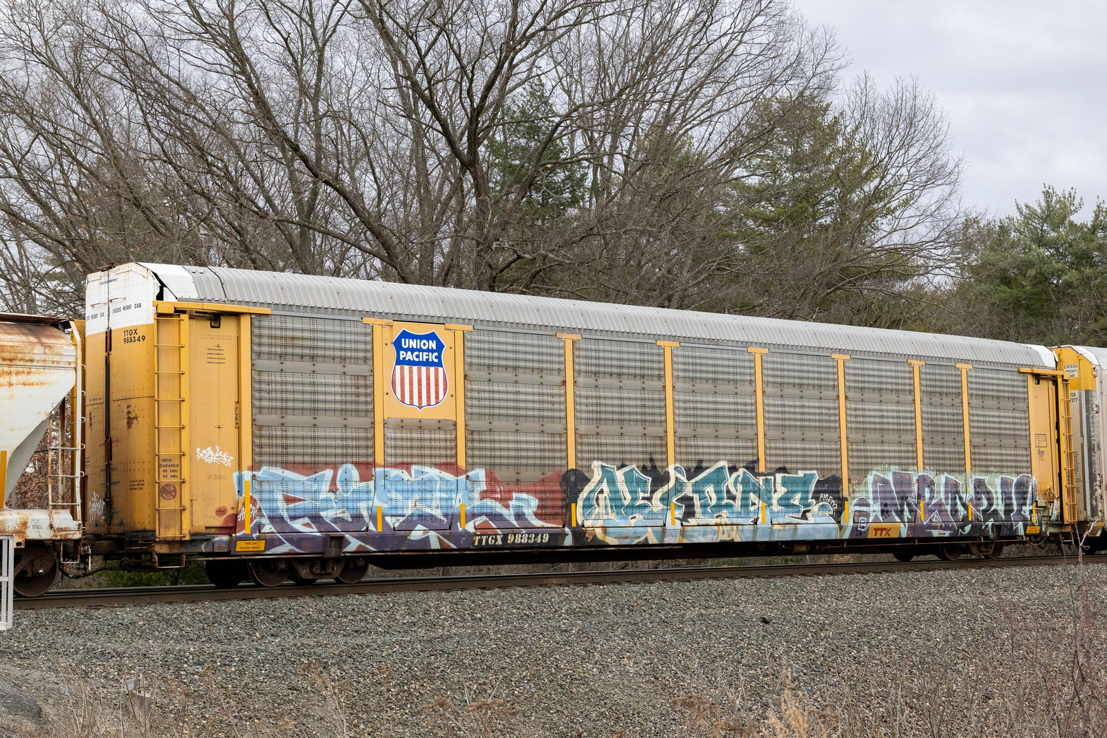TTGX 988349