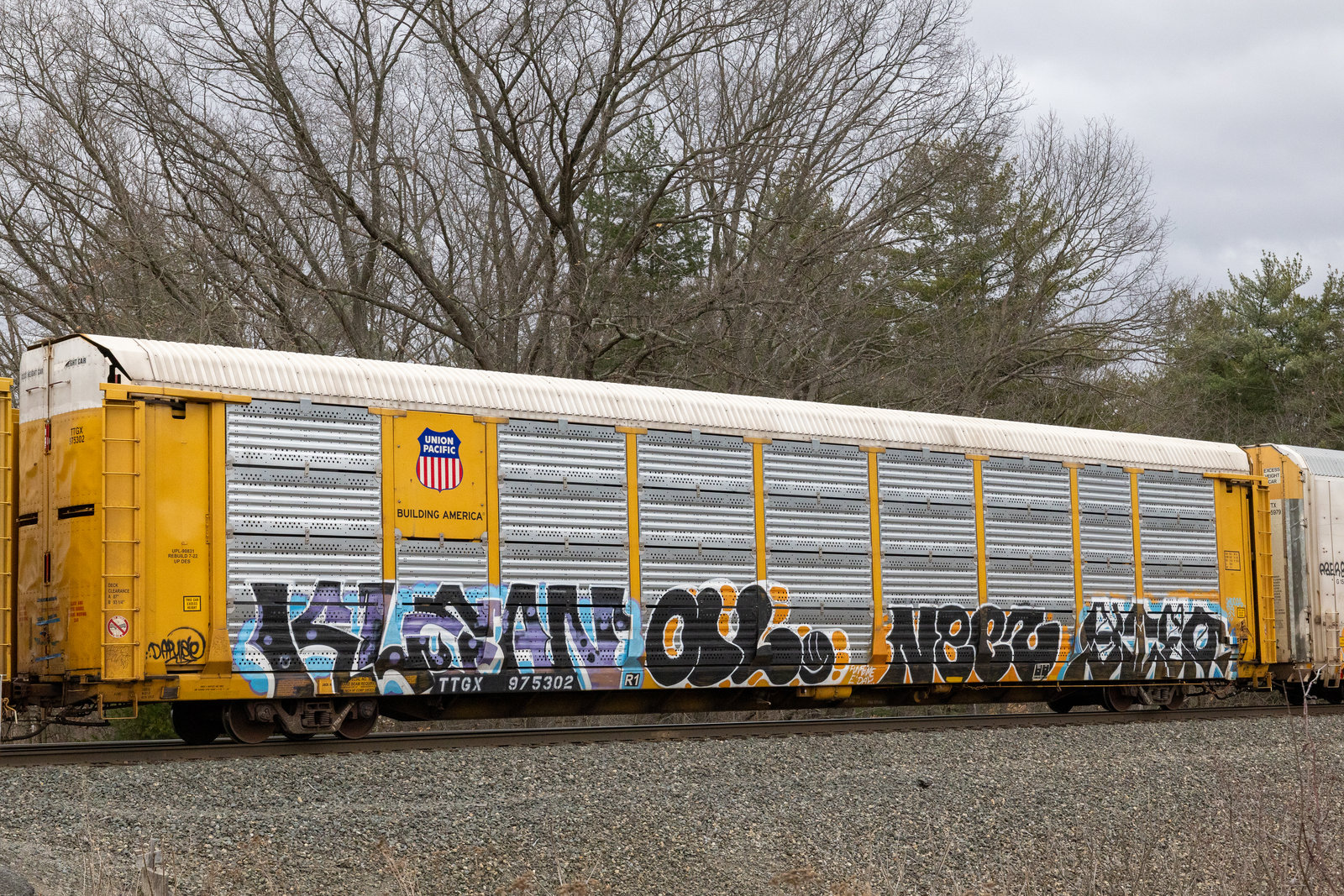 TTGX 975302