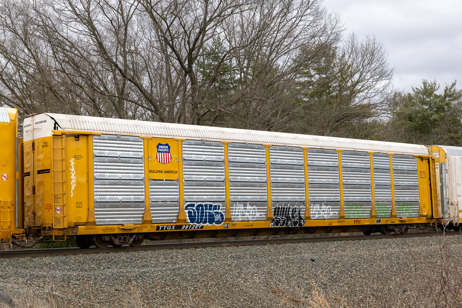 TTGX 991261