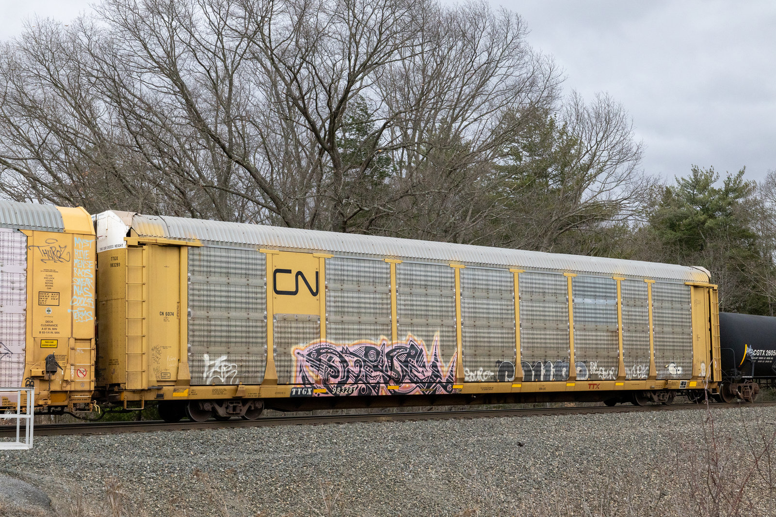 TTGX 983281