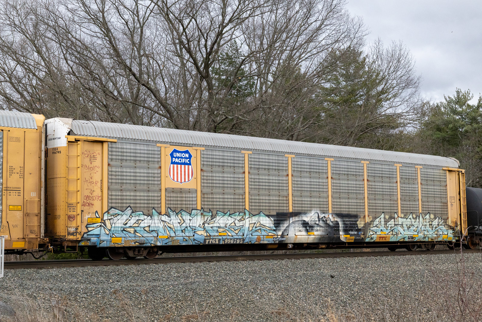 TTGX 996795
