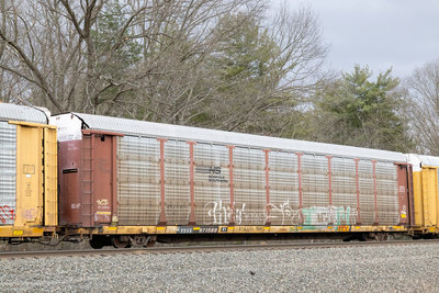TTGX 971589