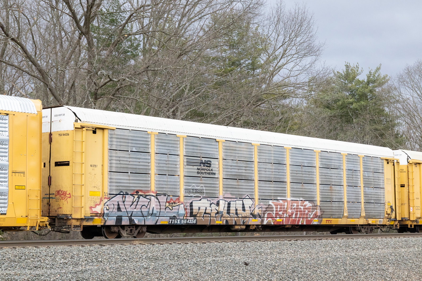 TTGX 964356